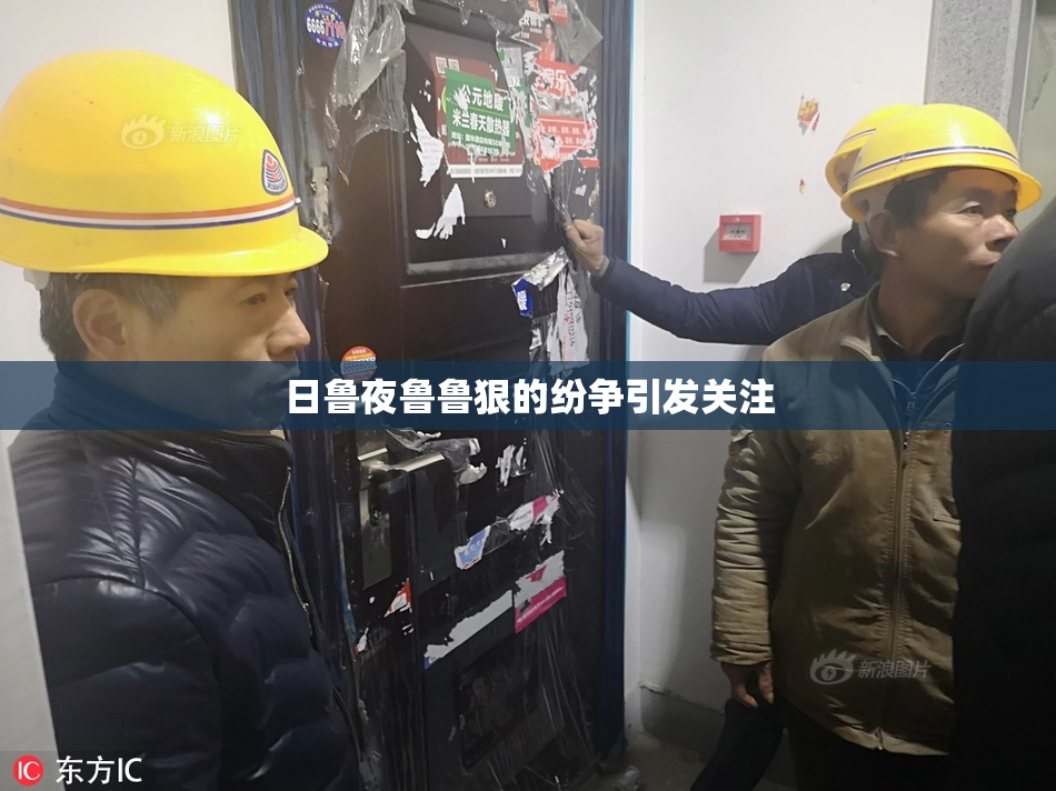 日鲁夜鲁鲁狠的纷争引发关注