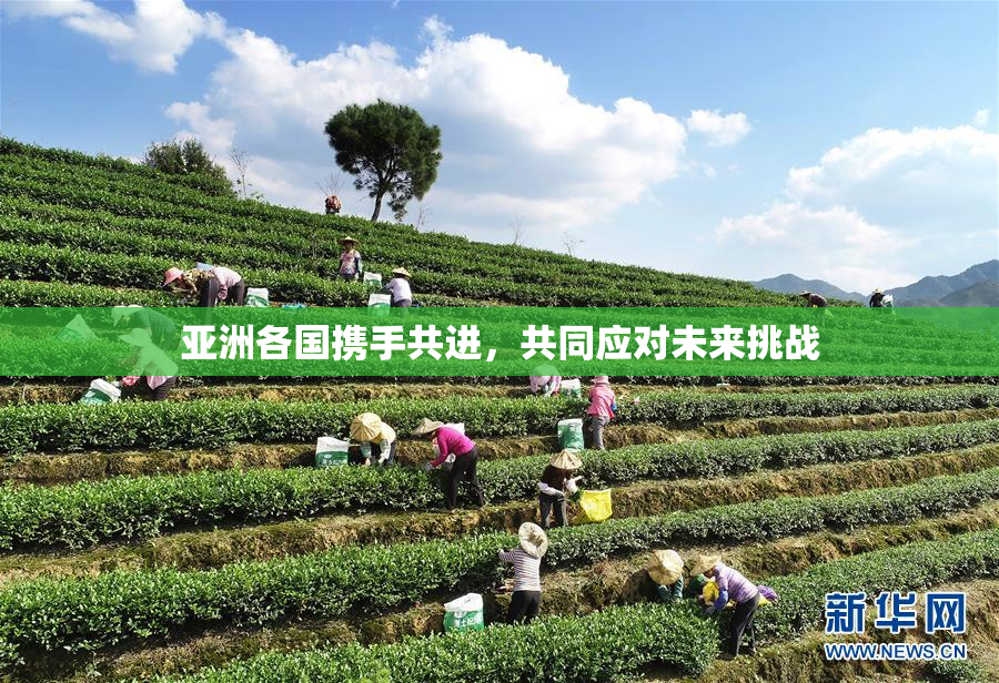 亚洲各国携手共进，共同应对未来挑战