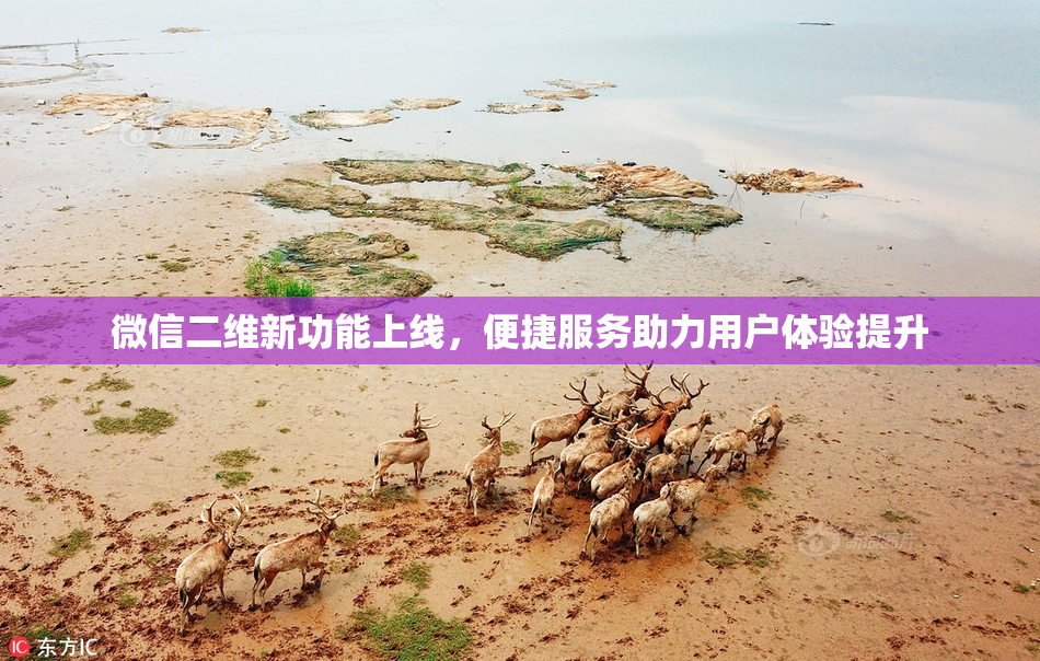 微信二维新功能上线，便捷服务助力用户体验提升