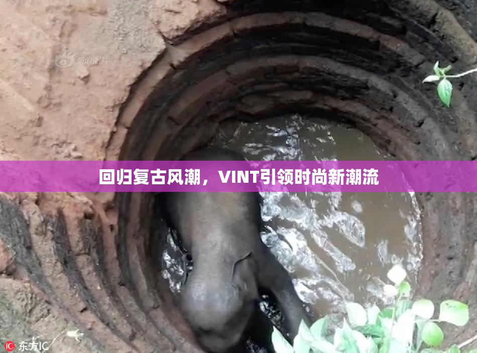 回归复古风潮，VINT引领时尚新潮流