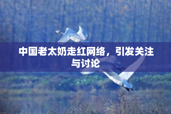 中国老太奶走红网络，引发关注与讨论