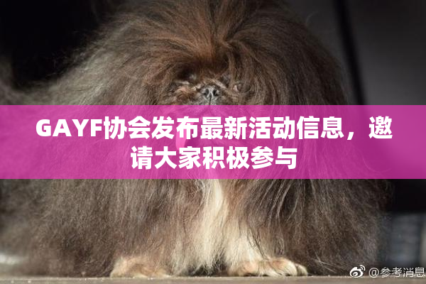 GAYF协会发布最新活动信息，邀请大家积极参与