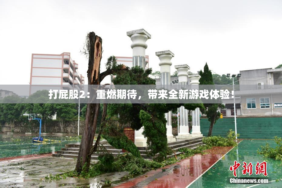打屁股2：重燃期待，带来全新游戏体验！