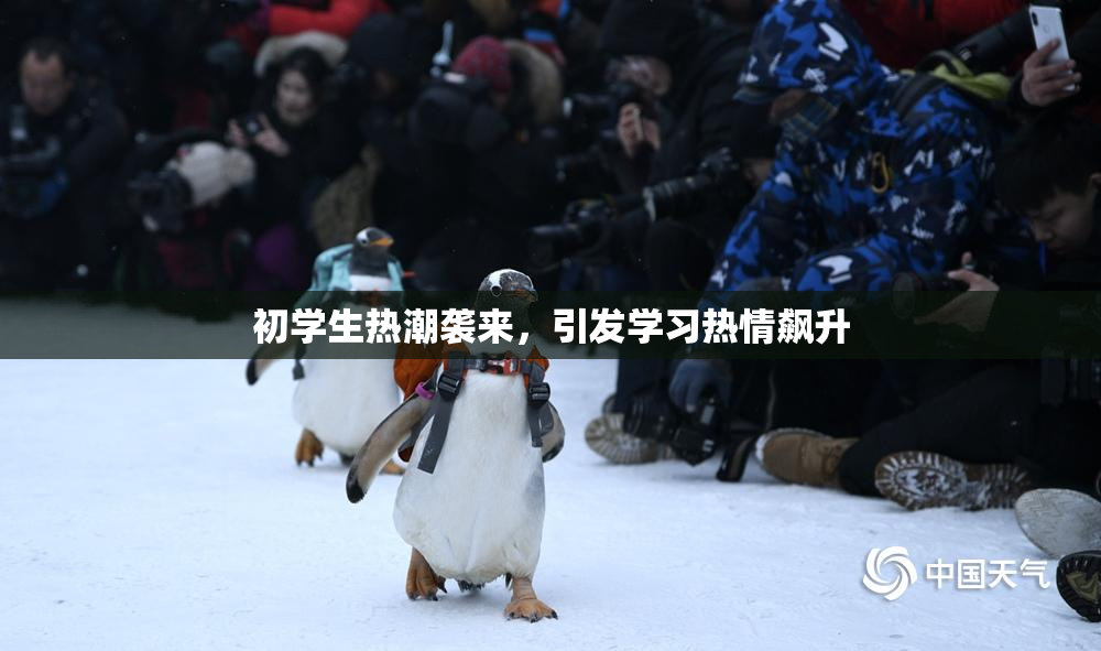 初学生热潮袭来，引发学习热情飙升