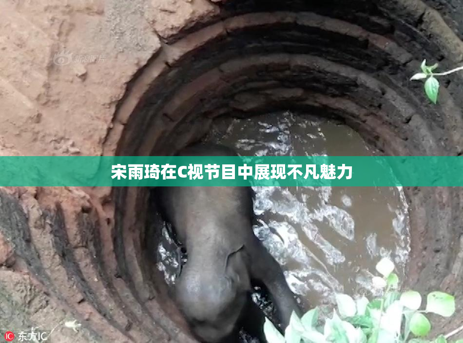 宋雨琦在C视节目中展现不凡魅力