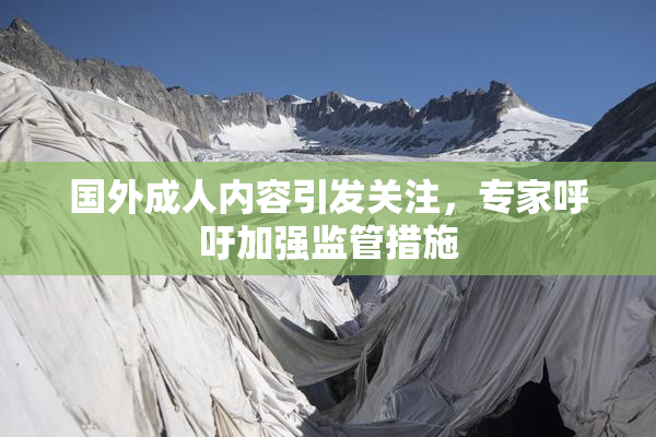 国外成人内容引发关注，专家呼吁加强监管措施