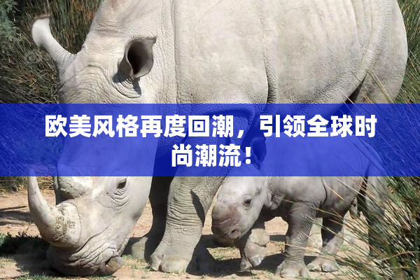 欧美风格再度回潮，引领全球时尚潮流！