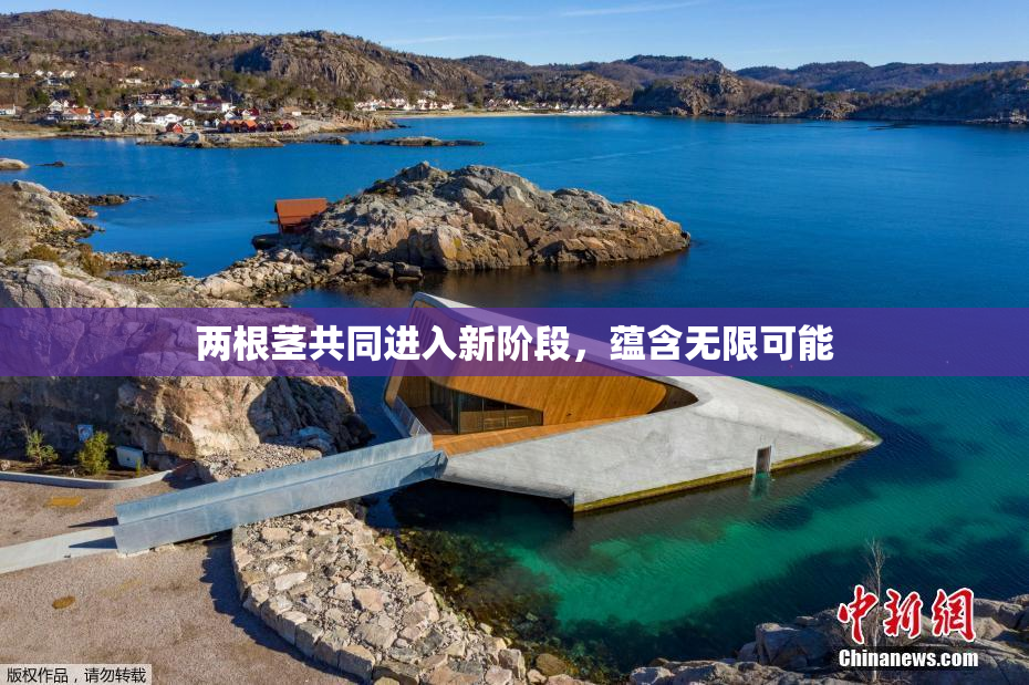 两根茎共同进入新阶段，蕴含无限可能