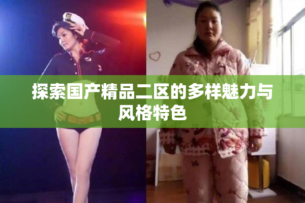 探索国产精品二区的多样魅力与风格特色