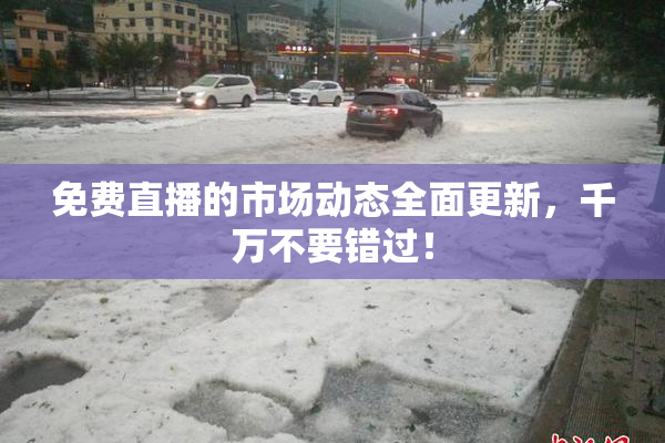 免费直播的市场动态全面更新，千万不要错过！