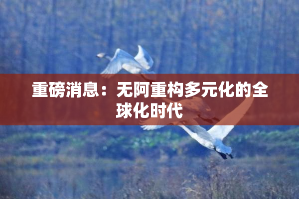 重磅消息：无阿重构多元化的全球化时代