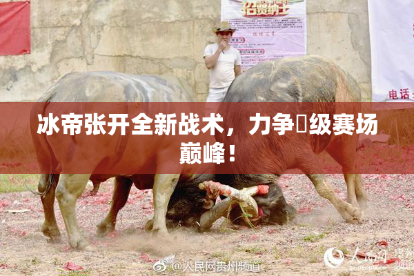 冰帝张开全新战术，力争晉级赛场巅峰！