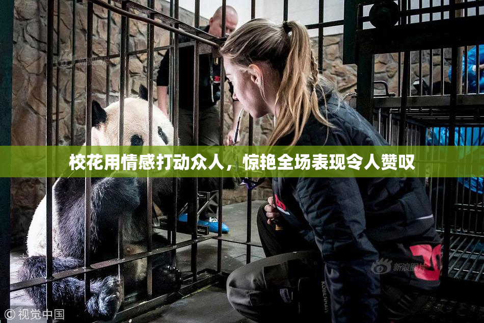 校花用情感打动众人，惊艳全场表现令人赞叹