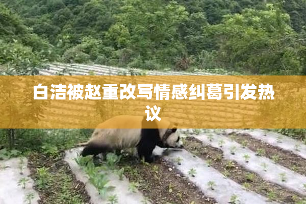 白洁被赵重改写情感纠葛引发热议
