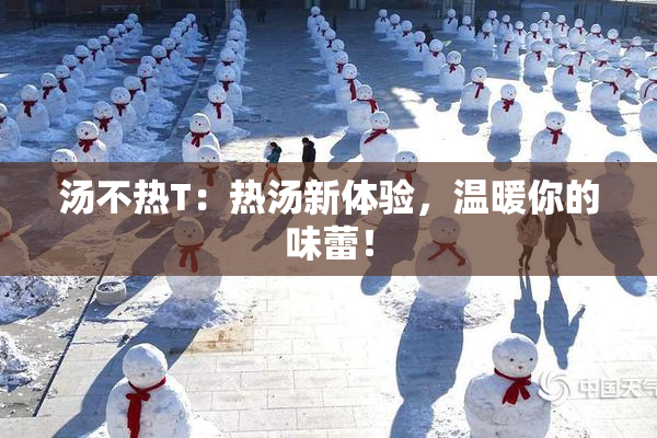 汤不热T：热汤新体验，温暖你的味蕾！