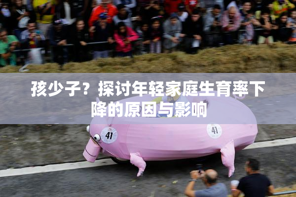 孩少子？探讨年轻家庭生育率下降的原因与影响