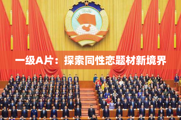 一级A片：探索同性恋题材新境界
