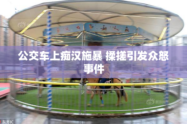 公交车上痴汉施暴 揉搓引发众怒事件