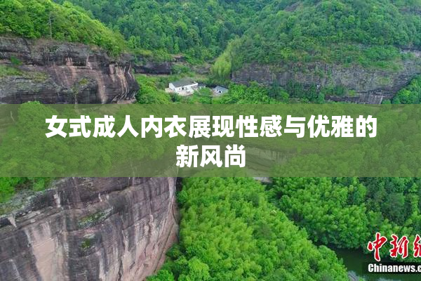 女式成人内衣展现性感与优雅的新风尚