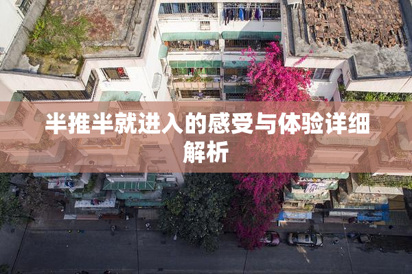 半推半就进入的感受与体验详细解析