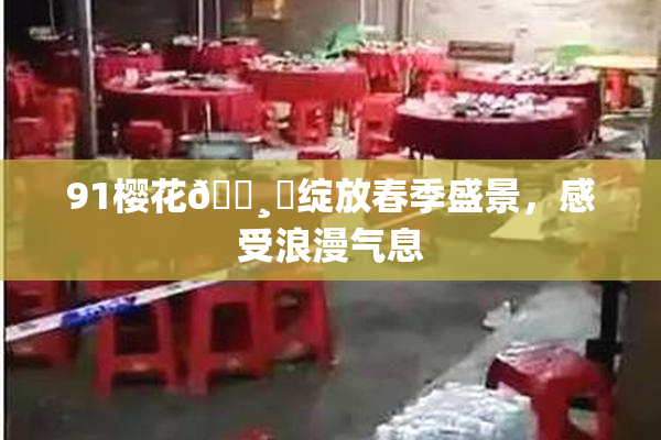 91樱花🌸‌绽放春季盛景，感受浪漫气息