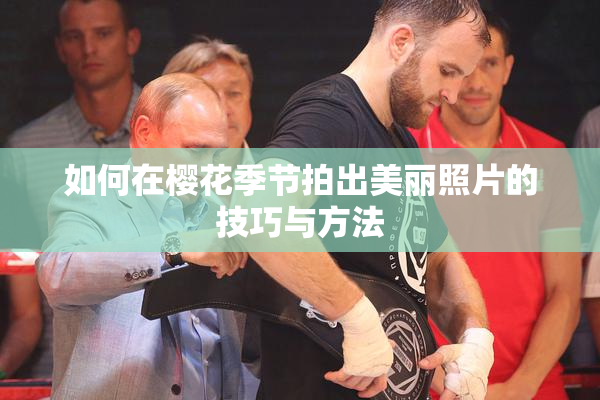 如何在樱花季节拍出美丽照片的技巧与方法