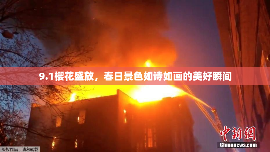 9.1樱花盛放，春日景色如诗如画的美好瞬间