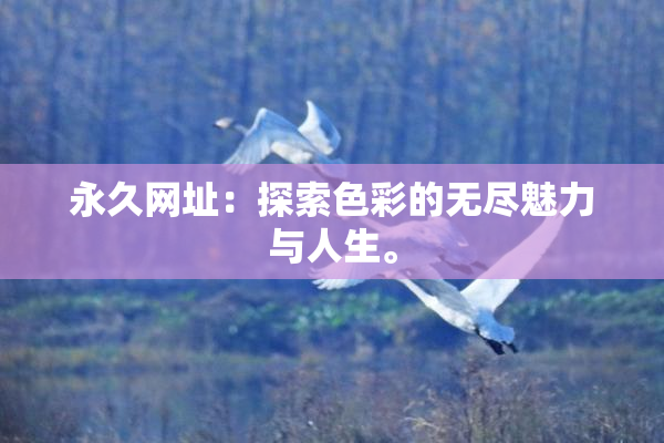 永久网址：探索色彩的无尽魅力与人生。