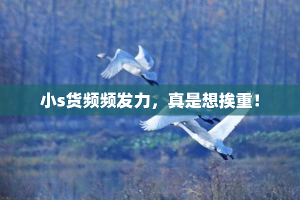 小s货频频发力，真是想挨重！