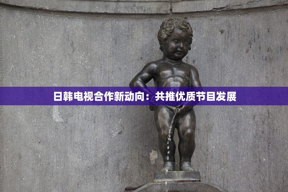 日韩电视合作新动向：共推优质节目发展