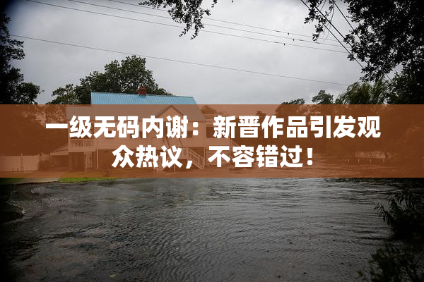 一级无码内谢：新晋作品引发观众热议，不容错过！