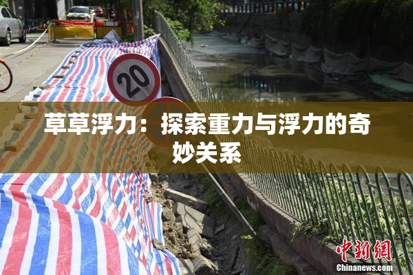 草草浮力：探索重力与浮力的奇妙关系