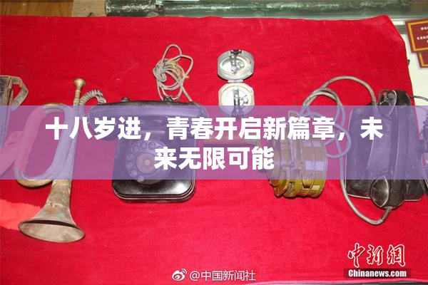 十八岁进，青春开启新篇章，未来无限可能