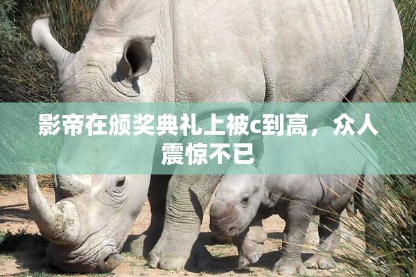 影帝在颁奖典礼上被c到高，众人震惊不已