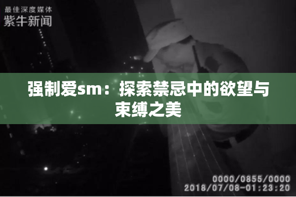 强制爱sm：探索禁忌中的欲望与束缚之美