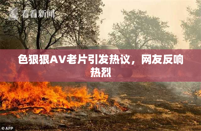色狠狠AV老片引发热议，网友反响热烈