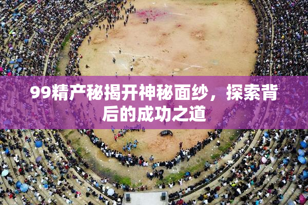 99精产秘揭开神秘面纱，探索背后的成功之道