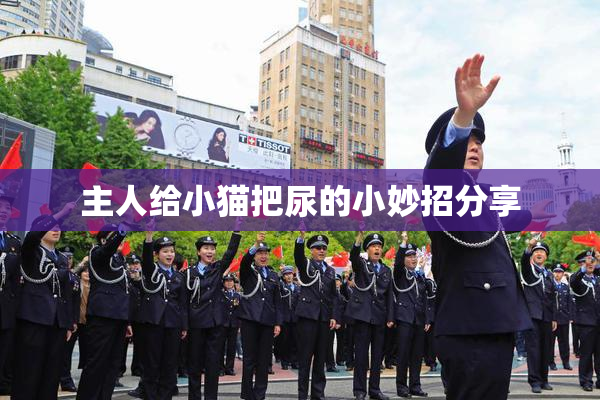 主人给小猫把尿的小妙招分享