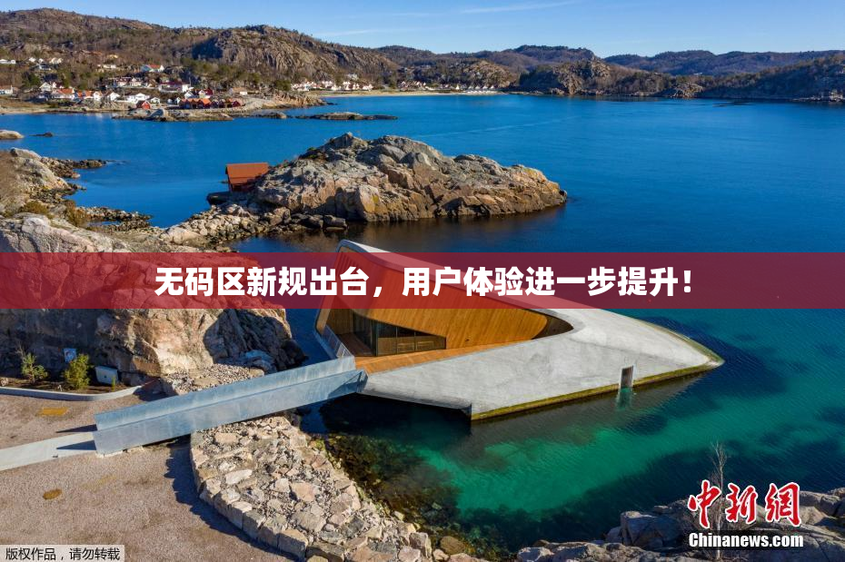 无码区新规出台，用户体验进一步提升！
