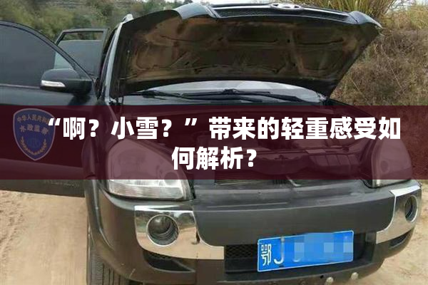 “啊？小雪？”带来的轻重感受如何解析？