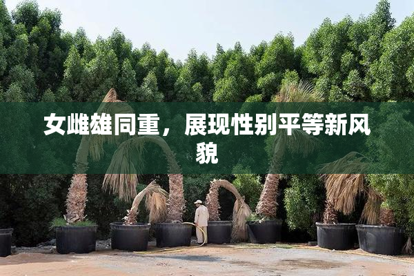 女雌雄同重，展现性别平等新风貌