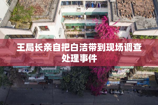 王局长亲自把白洁带到现场调查处理事件
