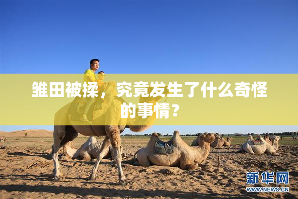 雏田被揉，究竟发生了什么奇怪的事情？
