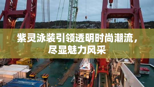 紫灵泳装引领透明时尚潮流，尽显魅力风采