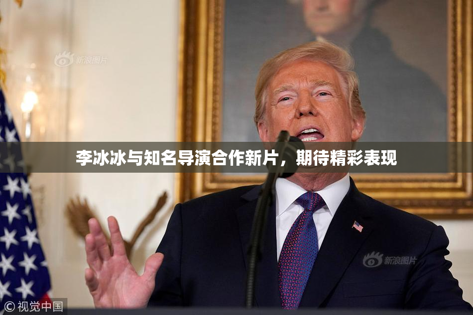 李冰冰与知名导演合作新片，期待精彩表现