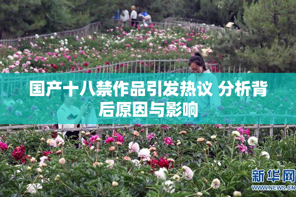 国产十八禁作品引发热议 分析背后原因与影响