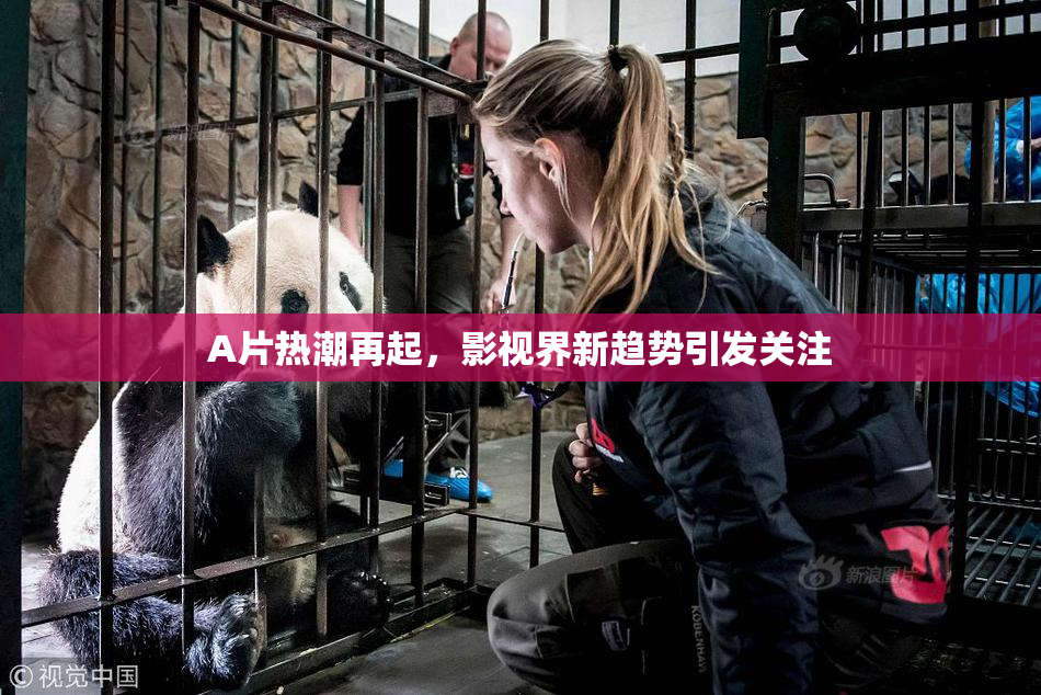 A片热潮再起，影视界新趋势引发关注