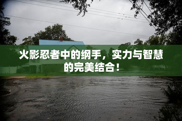 火影忍者中的纲手，实力与智慧的完美结合！