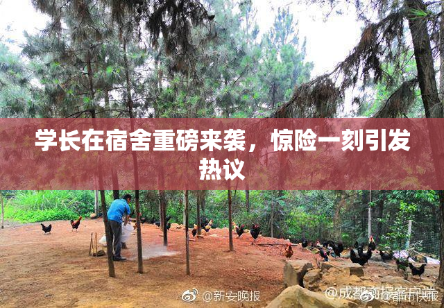 学长在宿舍重磅来袭，惊险一刻引发热议