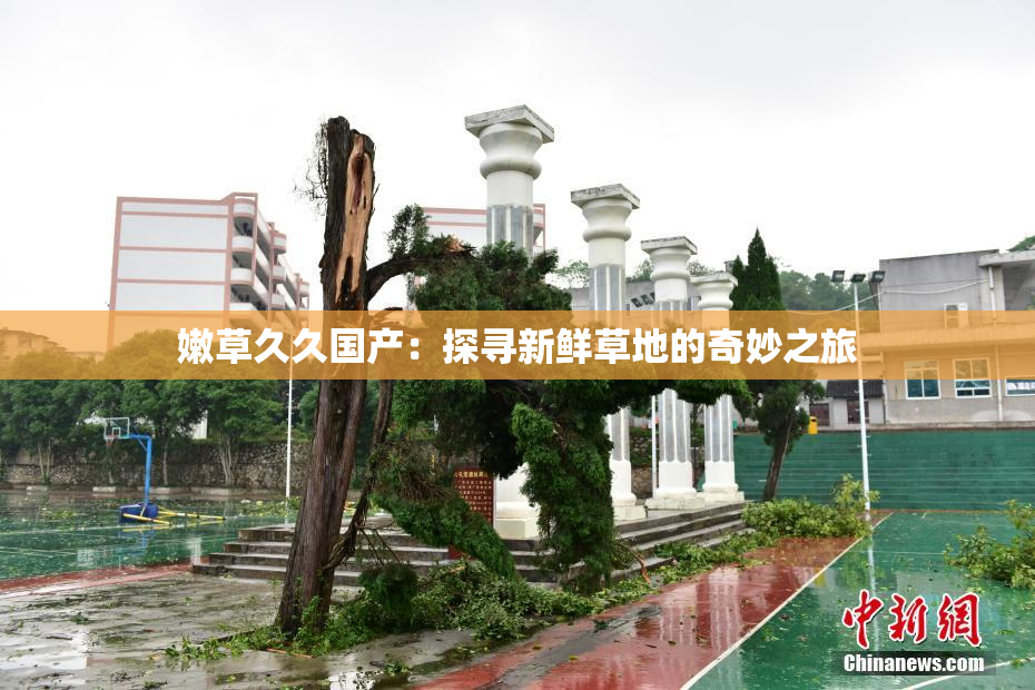 嫩草久久国产：探寻新鲜草地的奇妙之旅